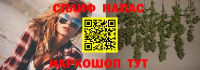 a pvp Гусев