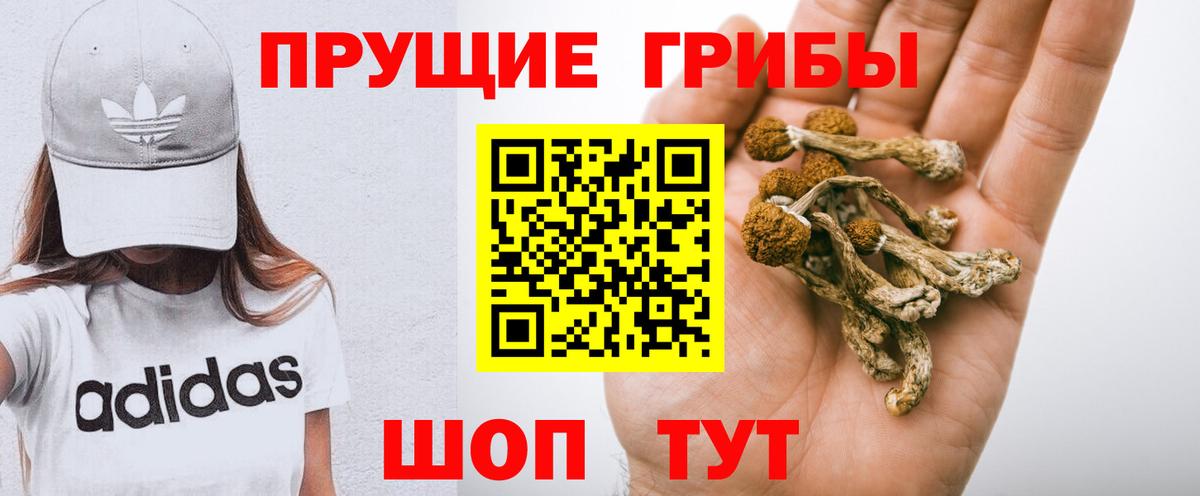 Псилоцибиновые грибы Magic Shrooms  Вход с VPN  Новоалтайск  Галлюциногенные грибы MAGIC MUSHROOMS 